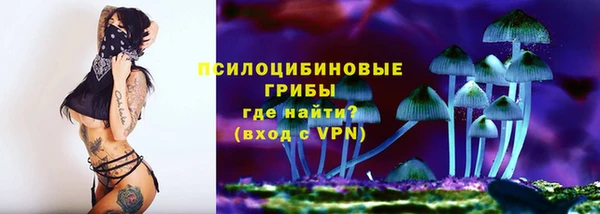 прущий лед Алзамай